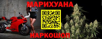 ALPHA PVP Гусев