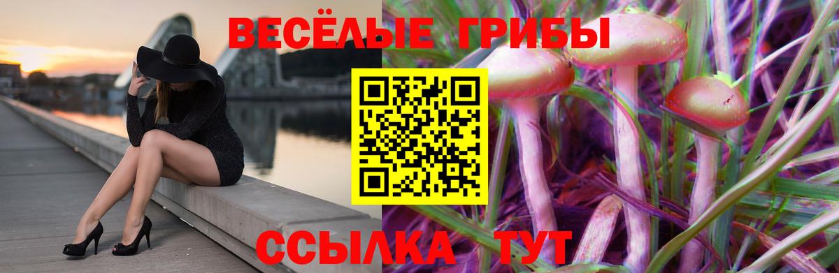 Псилоцибиновые грибы Psilocybe  Вход с VPN  Минусинск 