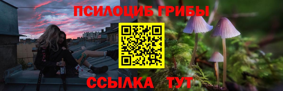 Галлюциногенные грибы GOLDEN TEACHER Минусинск